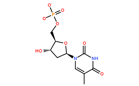 中文名称:胸苷酸 cas:365-07-1 英文名称:thymidine-5-mono