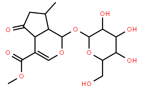 马鞭草苷