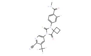 Androgen Receptor